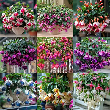All garden products