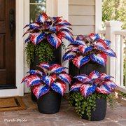 View 🔥Celebrate America's 250th 🌱UV Resistant Artificial Independence Day Hosta Decor suit🇺🇸 image 3