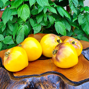 View Sgt. Pepper's Tomatoes Seeds - Heirloom image 3