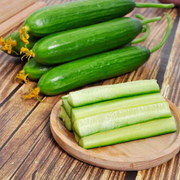View Thorn-less Mini Cucumber Seeds image 3