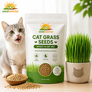 View Grow Fresh Cat Grass Seeds at Home image 1