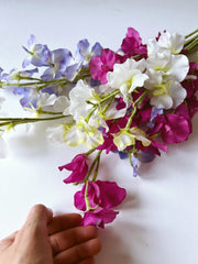 View 💐Multi Color Sweet Pea Flower Seeds image 3