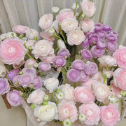 View Multicolor Ranunculus Seeds image 3