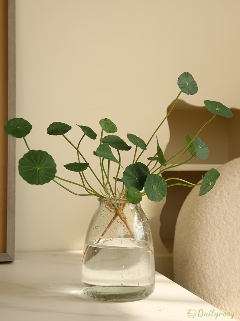 Copperleaf Seeds: Grow Your Own Luck and Prosperity! 🌿💰