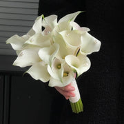 View Calla Lily Bulbs – The Magical Bloom That Never Fails image 3