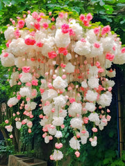 View Weeping Begonia flower Seeds image 1