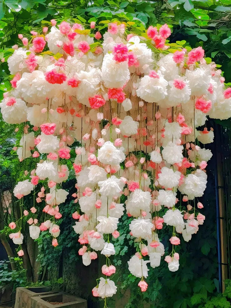 Weeping Begonia flower Seeds