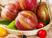 View Pyrus pyrifolia 'Nijisseiki'🌈Rainbow Pear Seeds image 1