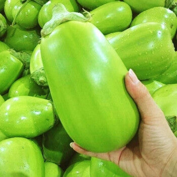 🍆 Green Can Eggplant Seeds - A Flavorful and Nutritious Garden Gem!