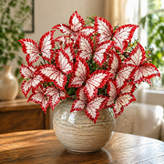 View 🌿 Blue Butterfly Seeds – Grow Butterfly-Shaped Leaves with Ease 🦋 image 4