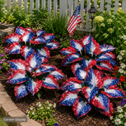 View 🔥Celebrate America's 250th 🌱UV Resistant Artificial Independence Day Hosta Decor suit🇺🇸 image 2
