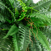 View 🌱 UV Resistant Ferns Artificial Plants Large for Planters, Office & Home Decor, Outdoor & Indoor image 2