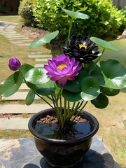 View 🌌💜 Shadow Essence Lotus – A Rare Beauty for Your Garden 🌸 image 4