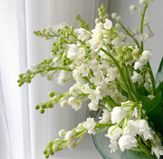 View 💐Lily of the Valley - Happiness Arrives image 4