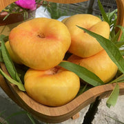 View 🌟Golden Legend - Golden Peach Seeds image 5