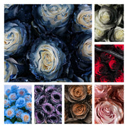 View 🌹Ecuadorian Roses - Rare Roses image 1