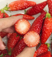 View Super Sweet Chili-Shaped Strawberry Seeds🍓 image 3