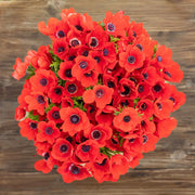 View Red Anemone Seeds image 4