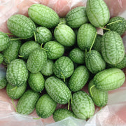 View Thumb Watermelon Seeds 🍉 image 1