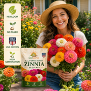 View Zinnia Seeds (California Giant ) – 100% Pure Heirloom Flower Seeds image 2