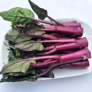 View Beetroot Under The Snow Seeds image 6