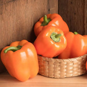 View Pepper Milena F1 Organic image 4