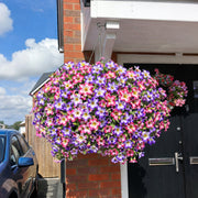 View 🔥Last Day 60% OFF🔥UV Resistant Artificial Petunias Flowers image 2