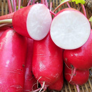 View Thumb Fruit Radish Seeds image 2