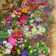 View 👍Mixed Perennial Flower Seeds – 60+ Varieties for Endless Blooms image 4