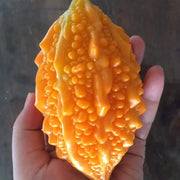 View Lai Grape Seeds for Garden Bitter Gourd Seeds image 6