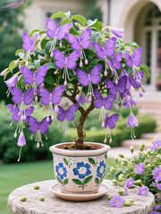 View 🎉Limited Time Offer: 50% Off 🦋Golden Thread Butterfly Flower Seeds image 3