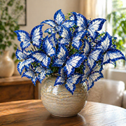 View 🌿 Blue Butterfly Seeds – Grow Butterfly-Shaped Leaves with Ease 🦋 image 1
