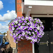 View 🔥Last Day 60% OFF🔥UV Resistant Artificial Petunias Flowers image 3