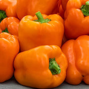 View Pepper Milena F1 Organic image 2