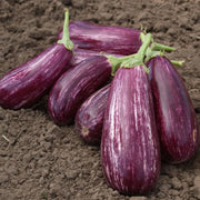 View 🍆 Nubia Eggplant Vegetable Seeds-Striped eggplant image 3