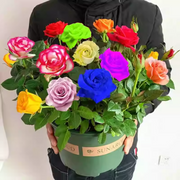 View Mixed Color Rose Combination Seeds💐 image 6