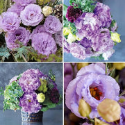 View 💐Lisianthus - A Sincere and Immutable Love image 5