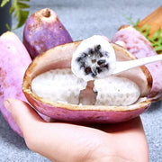 View Stauntonia Latifolia Seeds-Organic Food image 4