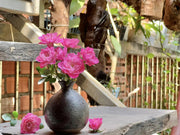 View 🌸Lotus Star Rose Seeds: Blooming All Year, Bringing Continuous Good Fortune🌸 image 6