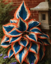 View 🌿 Rainbow Rare Hosta Flower Seeds🎁2025 Special Offer image 3