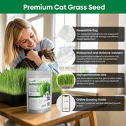 View Grow Fresh Cat Grass Seeds at Home image 4
