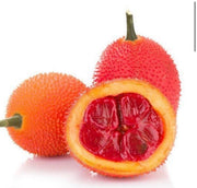 View Gac fruit seeds, Gac Melon Vine Momordica Cochinchinensis seeds image 1