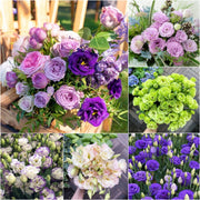 View 💐Lisianthus - A Sincere and Immutable Love image 1