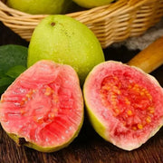 View Strawberry Guava Seeds image 1