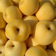 View Golden Apple Seeds image 2