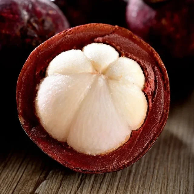 ✨Mangosteen – High yield, sweet and juicy flesh! ✨