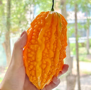 View Lai Grape Seeds for Garden Bitter Gourd Seeds image 3