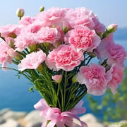 View Double-Flowered Mixed Carnation Seeds image 6
