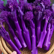 View 🥦 Easy to Grow, Hard to Resist – Broccoli Stem Seeds for Every Home Garden image 4