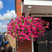 View 🔥Last Day 60% OFF🔥UV Resistant Artificial Petunias Flowers image 5
